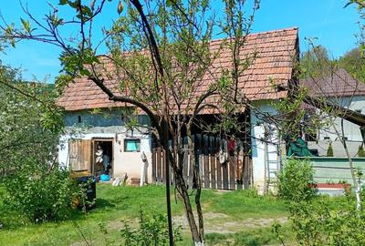 Casă cu 3 camere în Cotuș - 8