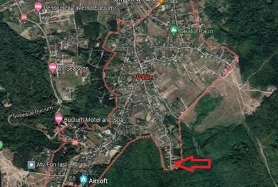 Teren agricol extravilan de 4400 mp, în Păun - 8