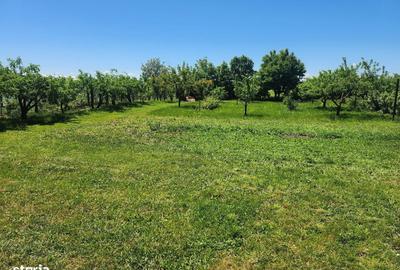 Casă cu 3 camere în Dumbrava - 7