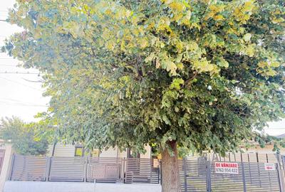 Casă cu 3 camere cu Teren 340 Mp în Central - 2