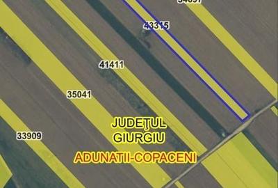 Teren de 6400 mp, în Adunații-Copăceni - 9