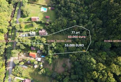 Teren intravilan de 7700 mp, în Ferneziu - 4