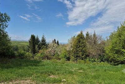 Teren Construcții intravilan de 802 mp, în Făget
