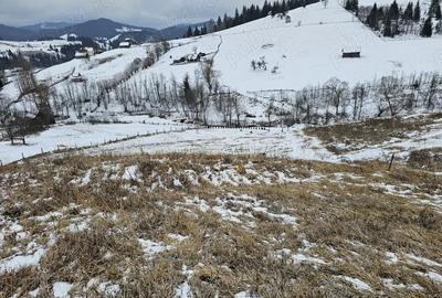 Teren de 12066 mp, în Breaza - 10