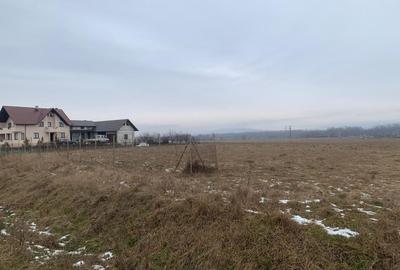 Teren Construcții intravilan de 2000 mp, în Părhăuți - 6
