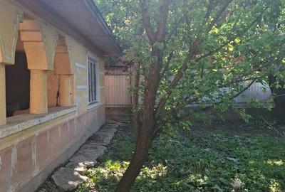 Casă cu 2 camere cu Teren 2156 Mp în Central - 1