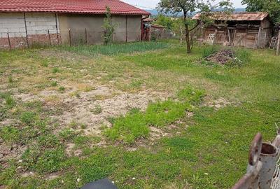 Casă cu 2 camere cu Teren 1843 Mp în Urișor - 6