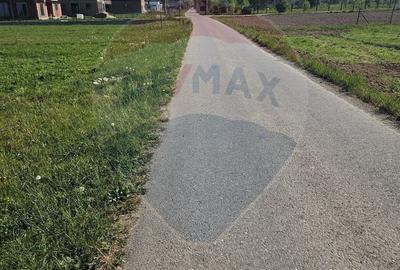 Teren de 1780 mp, în Bocicoiu Mare - 1