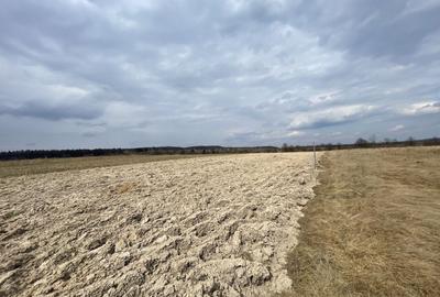 Teren agricol extravilan de 2300 mp, în Horodnic de Sus
