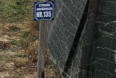 Spațiu comercial, în Nufărul - 8