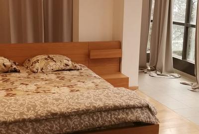 Duplex cu 5 camere cu Canalizare în Herăstrău - 10