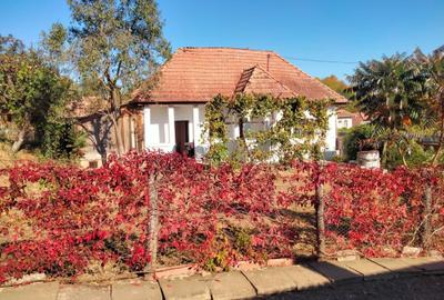 Casă cu 3 camere în Râciu