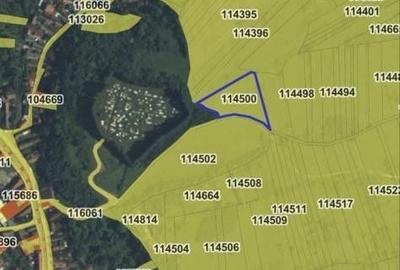 Teren agricol de 3600 mp, în Tărlungeni - 2
