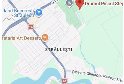 Spațiu comercial, în Mogoșoaia