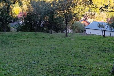 Teren de 1599 mp, în Bughea de Jos