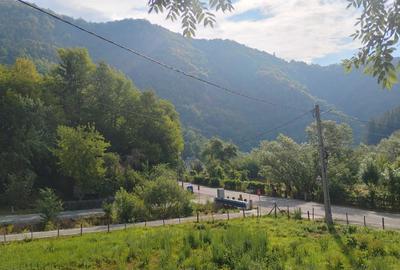 Casă cu 3 camere în Mănăstire - 4