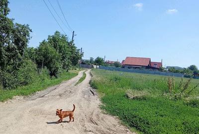 Teren de 5300 mp, în Central - 2