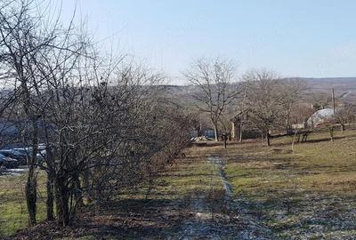 Teren de 15627 mp, în Ocheșești - 7