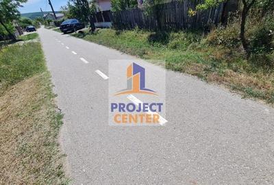 Casă cu 3 camere cu Teren 4525 Mp în Băbana - 4