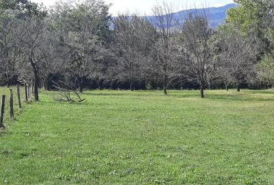 Teren de 8540 mp, în Breaza - 2