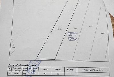 Teren de 2500 mp, în Sibiciu de Sus - 3