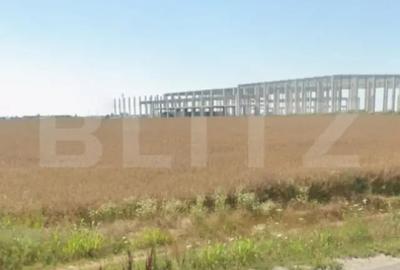 Teren de 10434 mp, în Cârcea