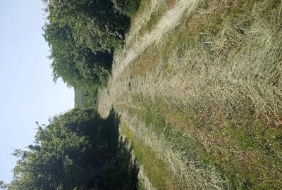 Teren de 11000 mp, în Central - 5