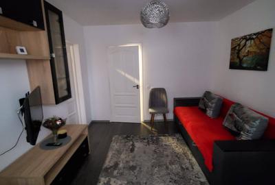 Apartament cu 2 camere semidecomandat, mobilat în Podu Roș - 2