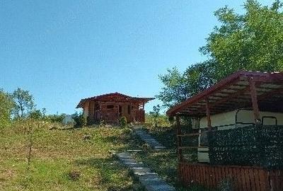 Casă cu 3 camere cu Teren 2697 Mp în Teș - 4