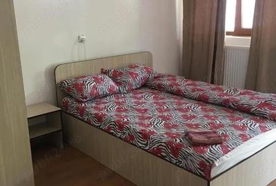 Spațiu comercial, de 760 mp, în Văliug - 3
