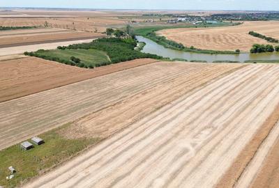 Teren Construcții extravilan de 6500 mp, în Frumușani - 10