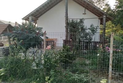 Casă cu 3 camere cu Teren 731 Mp în Plopu - 1