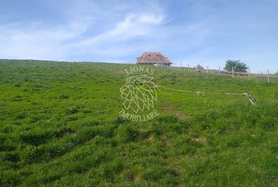 Teren agricol extravilan de 2500 mp, în Monariu - 4