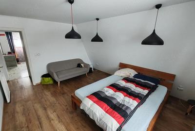 Casă cu Teren 3600 Mp în Bejan - 5