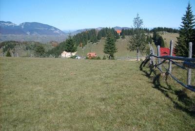 Teren de 717 mp, în Fundata - 8