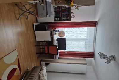 Apartament cu 4 camere decomandat în Banat - 4