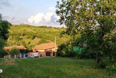 Teren de 900 mp, în Bucovăț - 1