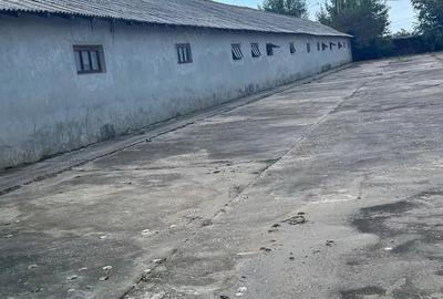 Teren de 5000 mp, în Central - 8