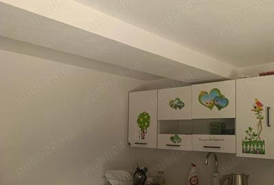 Casă cu 3 camere cu Teren 400 Mp în Incești (Avram Iancu) - 2