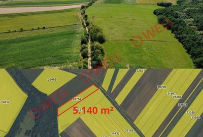 Teren agricol extravilan de 63100 mp, în Măgheruș - 4