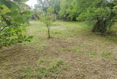 Casă cu 3 camere în Central - 2