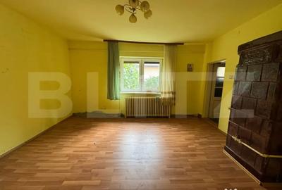Casă cu 5 camere cu Teren 3000 Mp în Horea - 1
