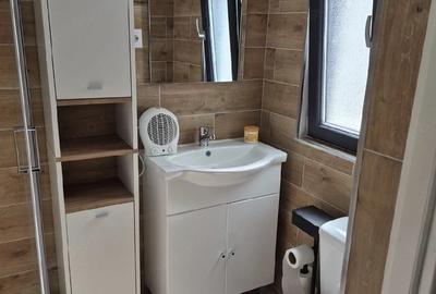 Casă cu Teren 250 Mp în Sânmihaiu Român - 3