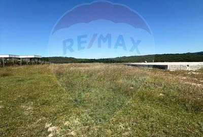 Teren agricol extravilan de 3757 mp, în Păltinoasa - 13