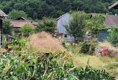 Teren de 5600 mp, în Vest - 1