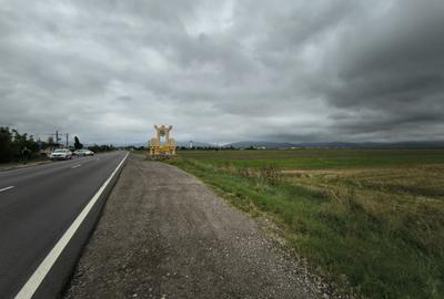 Teren agricol extravilan de 8900 mp, în Prejmer - 3