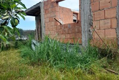 Casă cu 6 camere cu Teren 498 Mp în Peciu Nou - 1