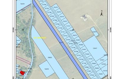 Teren Construcții intravilan de 5000 mp, în Brănești - 3