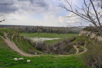 Teren de 3000 mp, în Ciulnița - 3