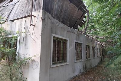 Casă cu 6 camere în Buziaș - 3